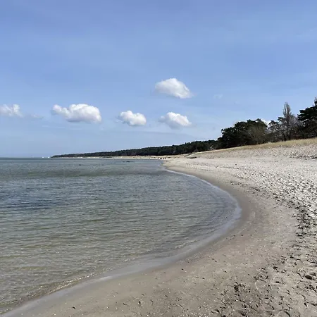 Dom wakacyjny Am Walde By Interhome Lubmin